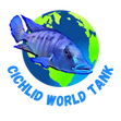 Cichlid World Tank