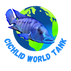 Cichlid World Tank